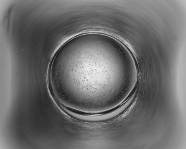 X0000096631533200802051056