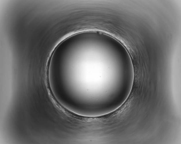 X0000096631534200802051056