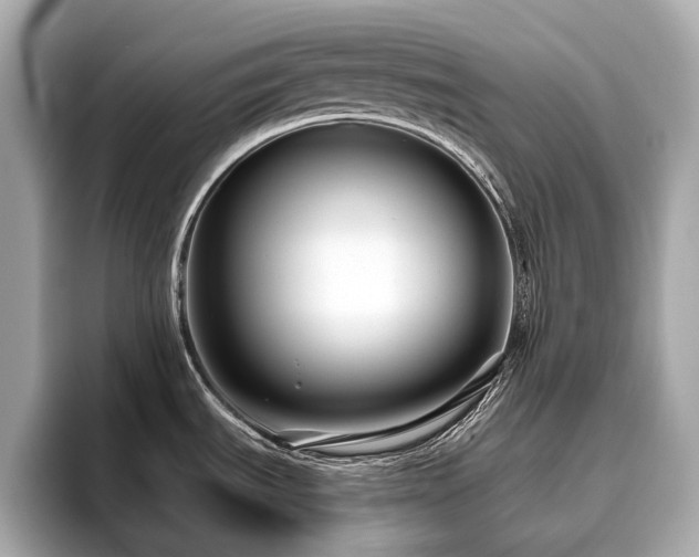 X0000096631535200802051056