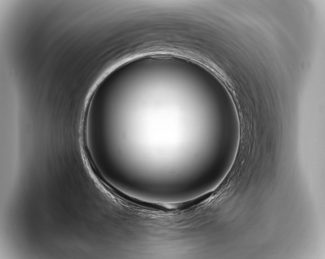 X0000096631536200802051056