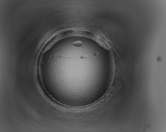 X0000096630002200802121058