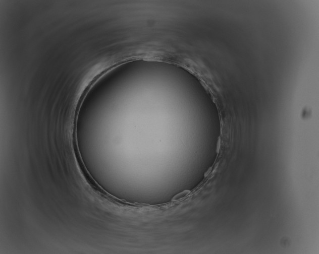 X0000096630003200802121058