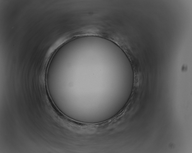 X0000096630004200802121058