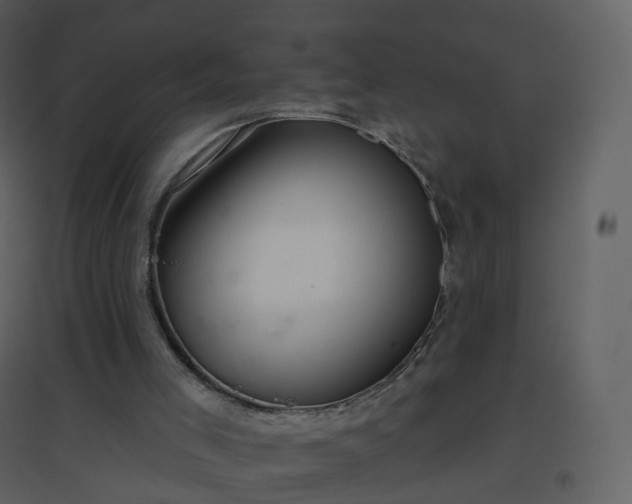 X0000096630005200802121058