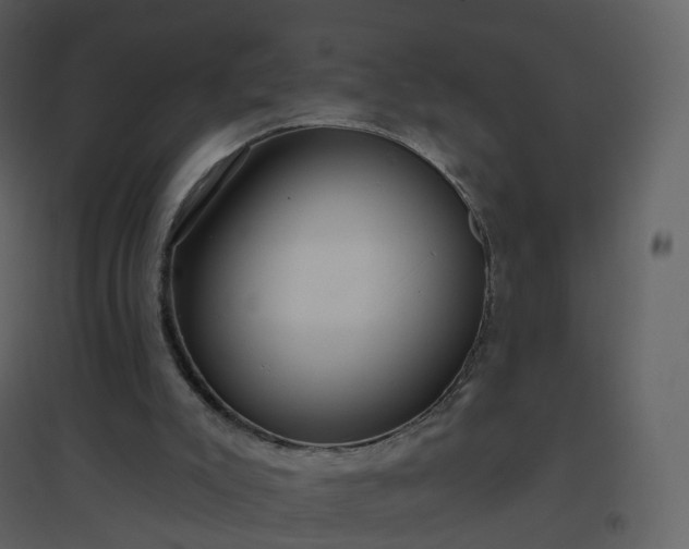 X0000096630007200802121057