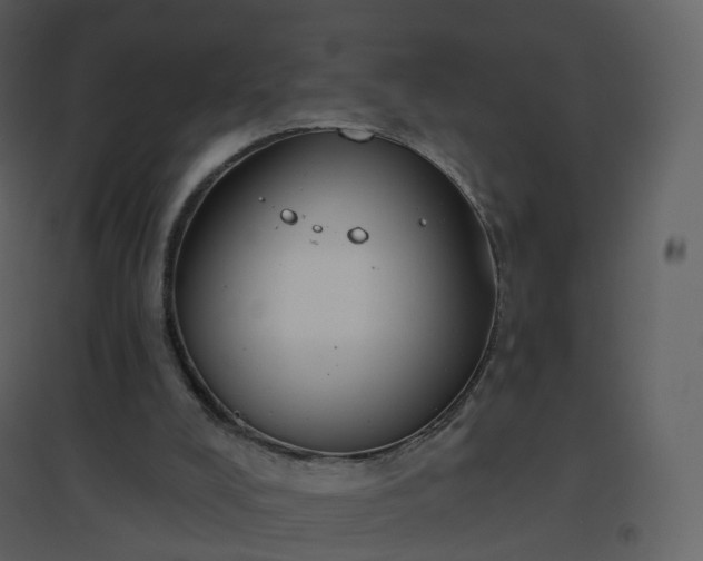X0000096630008200802121057
