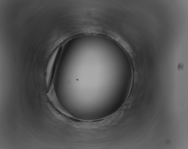 X0000096630009200802121057