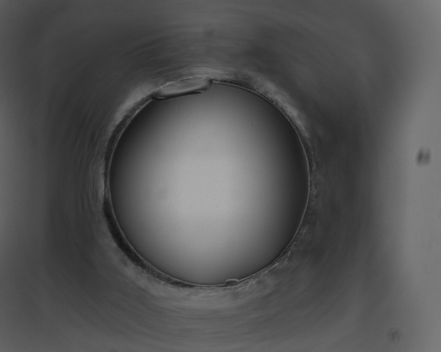 X0000096630011200802121057