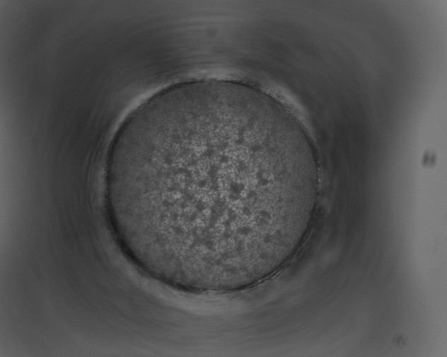 X0000096630012200802121057