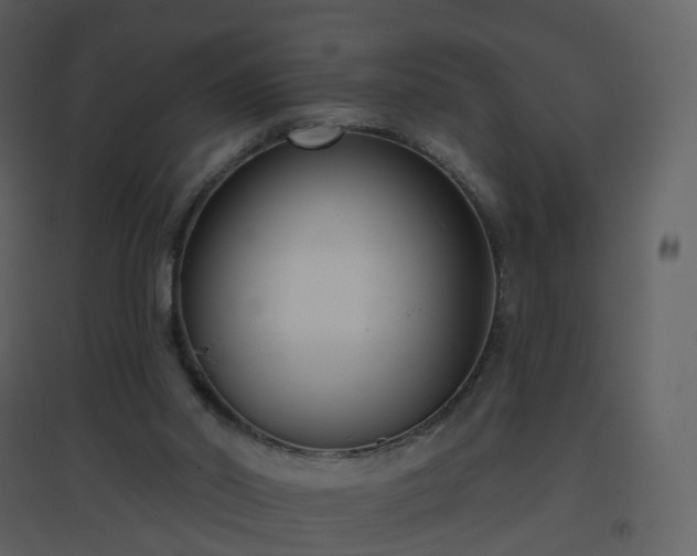 X0000096630014200802121057