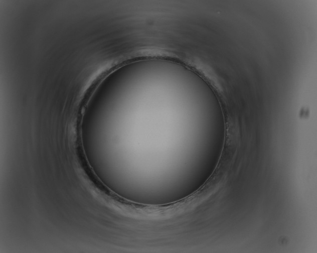 X0000096630015200802121057