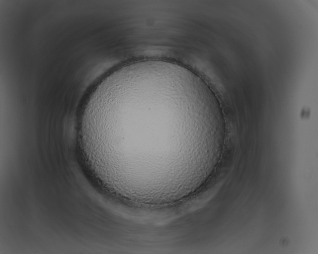 X0000096630016200802121057