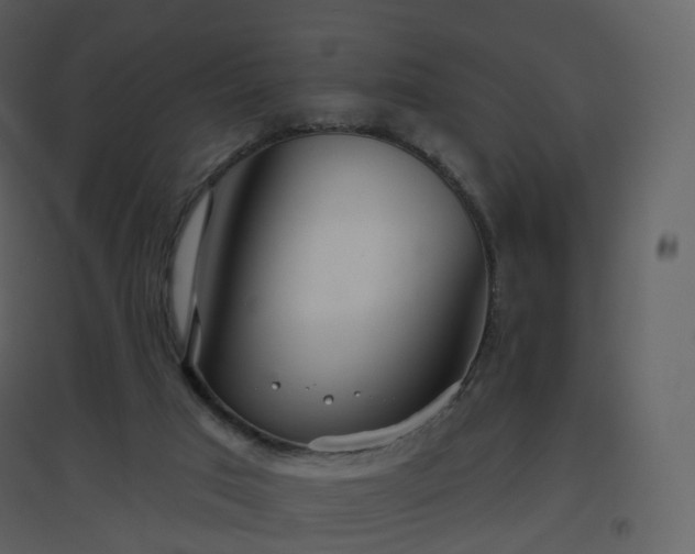 X0000096630017200802121057