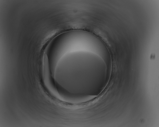 X0000096630019200802121057