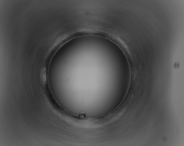 X0000096630020200802121057