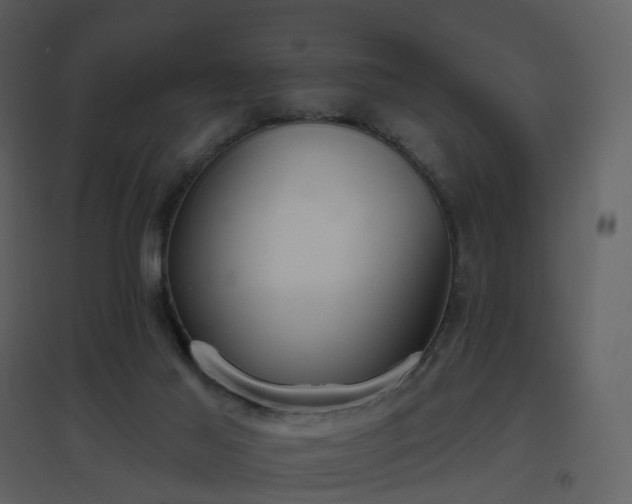 X0000096630021200802121057
