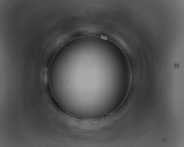 X0000096630022200802121057