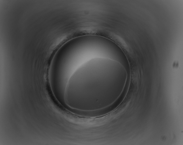X0000096630023200802121057