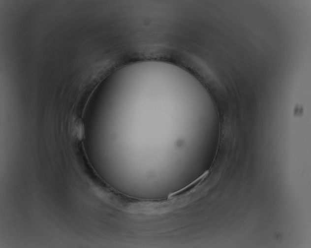 X0000096630025200802121057