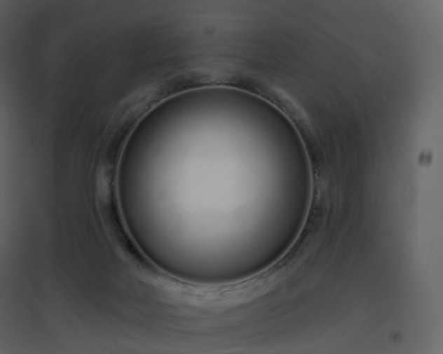 X0000096630026200802121057