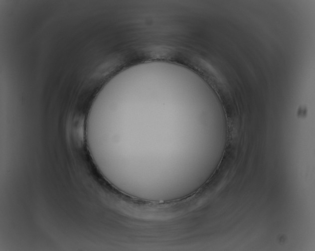 X0000096630028200802121057