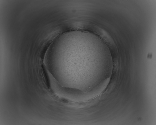X0000096630029200802121057