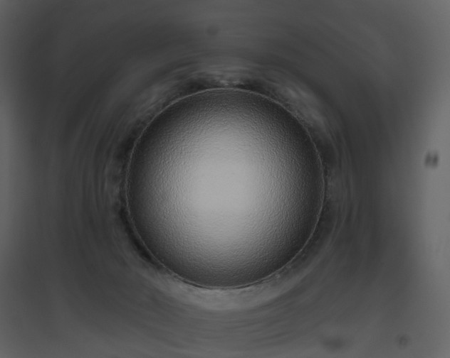 X0000096630030200802121057