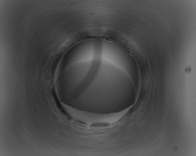 X0000096630031200802121057