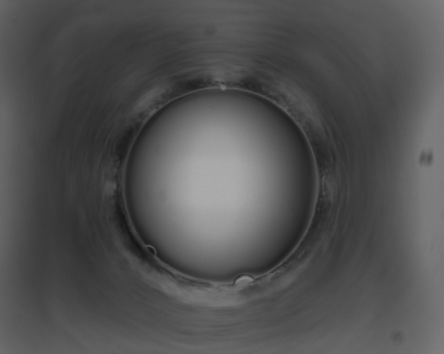 X0000096630032200802121057