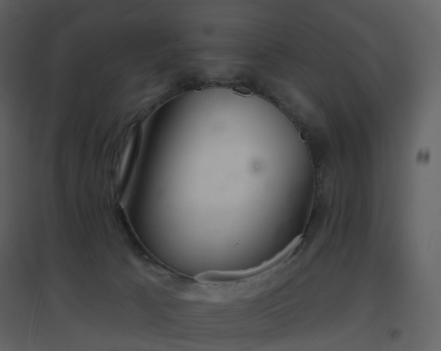 X0000096630033200802121057