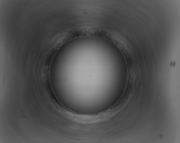 X0000096630034200802121057