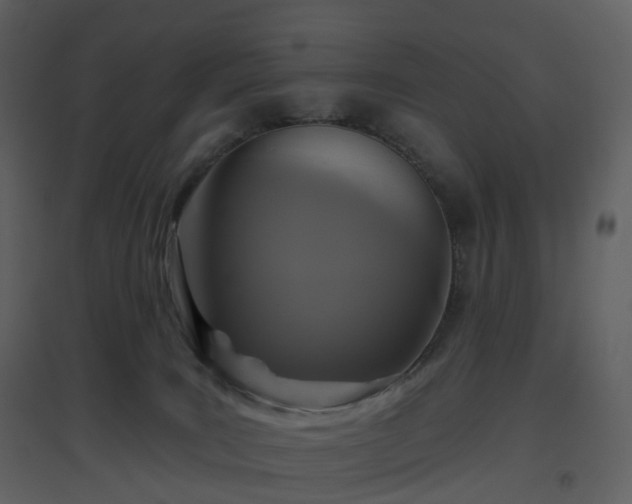 X0000096630035200802121057