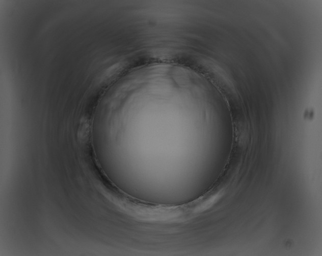 X0000096630036200802121057