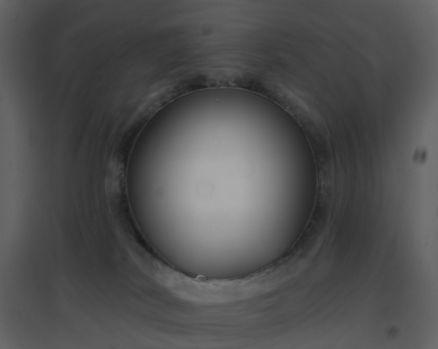 X0000096630038200802121057