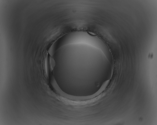 X0000096630039200802121057