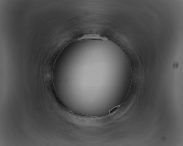 X0000096630040200802121057