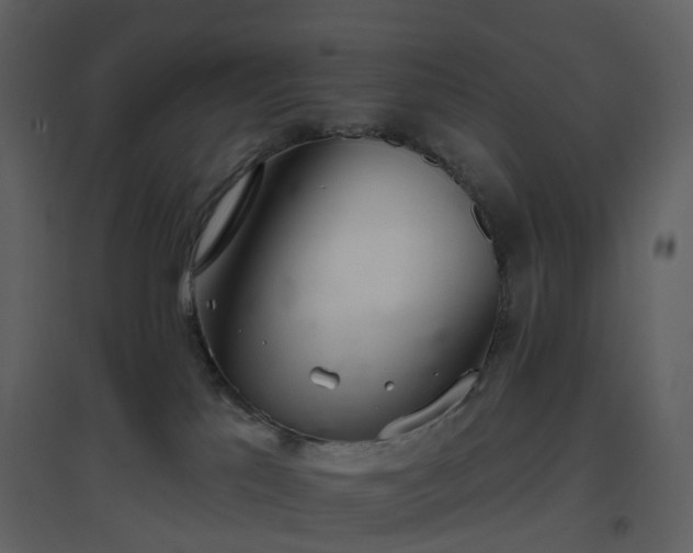 X0000096630041200802121057