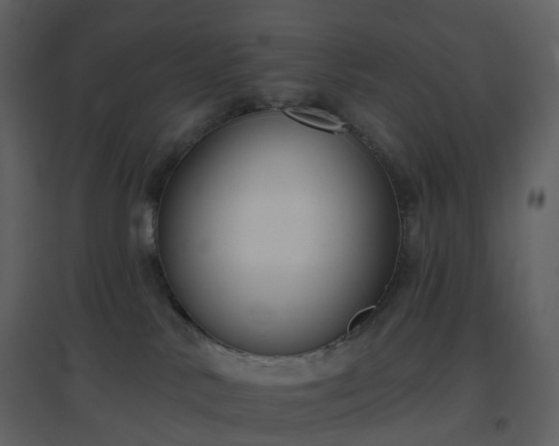 X0000096630042200802121057