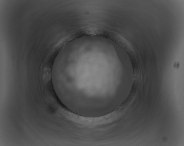 X0000096630043200802121057