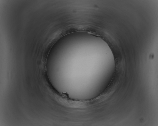 X0000096630044200802121057