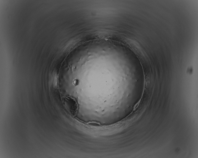 X0000096630046200802121057