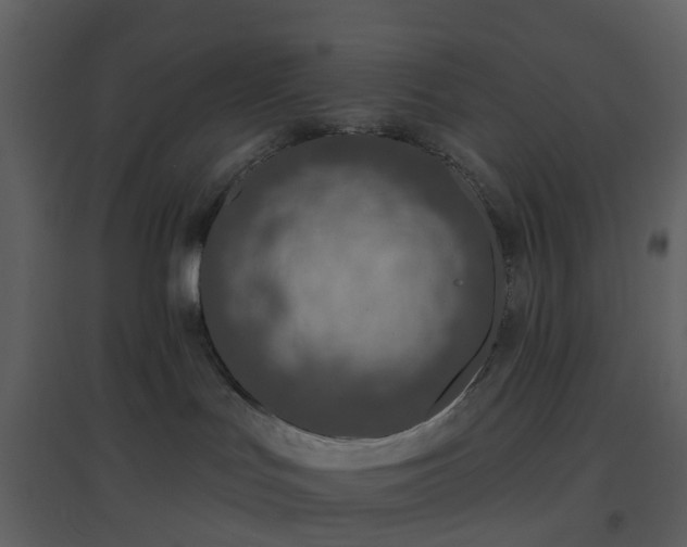X0000096630047200802121057