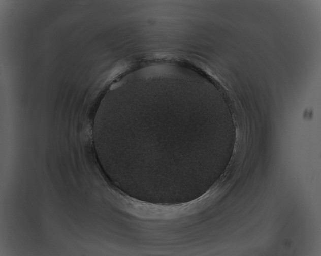 X0000096630048200802121057