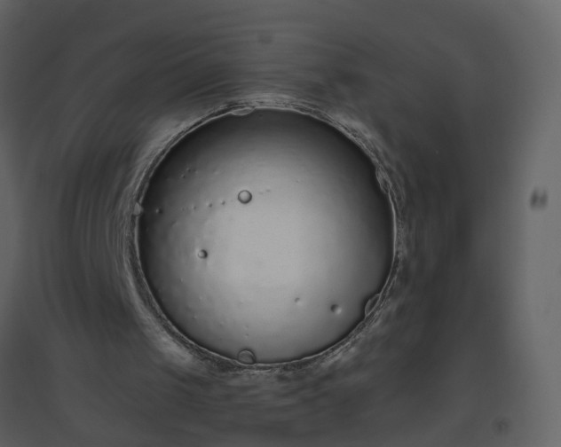 X0000096630049200802121056