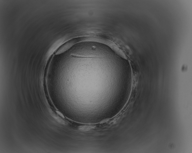 X0000096630051200802121056