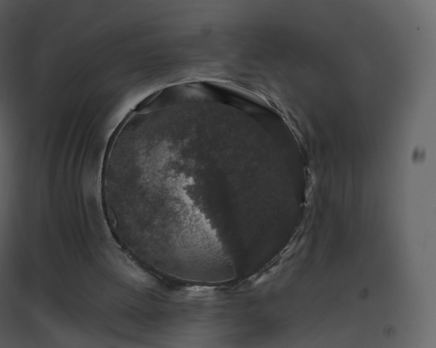 X0000096630052200802121056