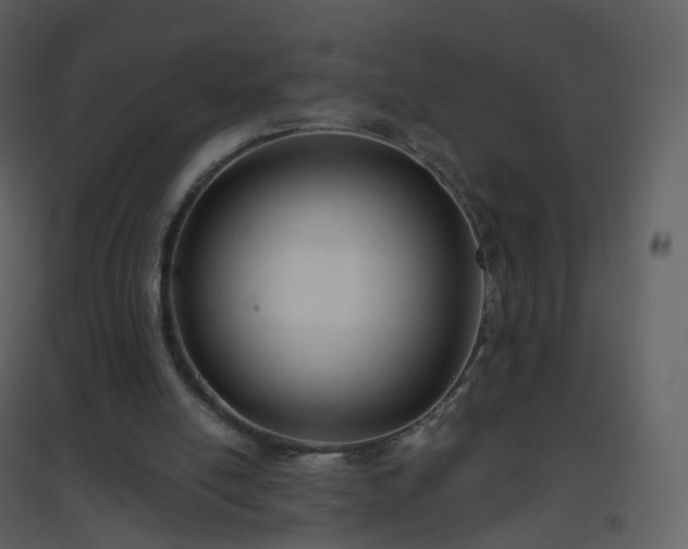 X0000096630054200802121056
