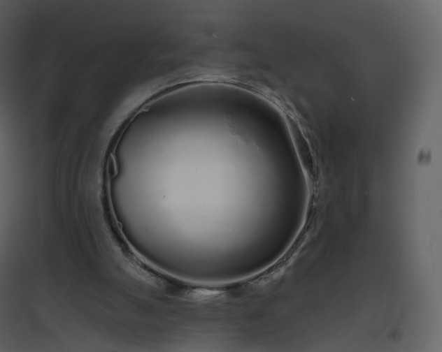 X0000096630055200802121056