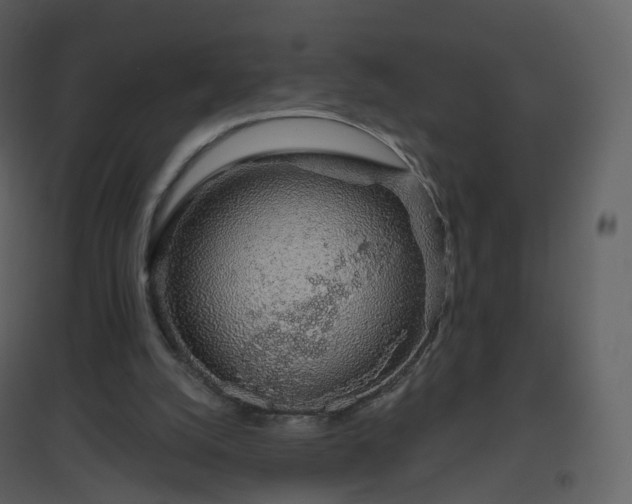 X0000096630056200802121056