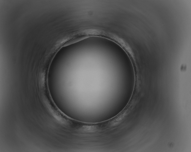 X0000096630057200802121056